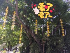-MUJOSH木九十眼镜(南翔印象城店)