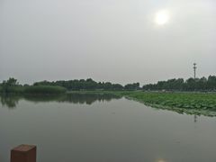 -白洋淀景区