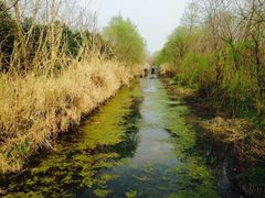 -溱湖国家湿地公园