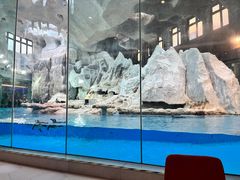 -帝企鹅自助餐厅•儿童岛•真企鹅(长隆企鹅酒店)