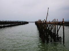 -盐洲岛