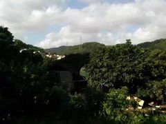 -花雕醉鸡(登封店)