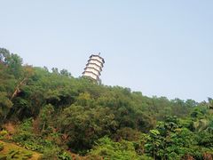 -深圳国际园林花卉博览园