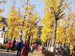 -两江幸福广场