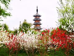 -上海市龙华烈士陵园