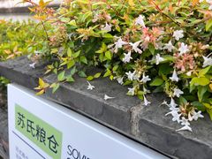 -云间粮仓