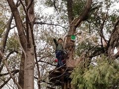 -WeLope紫金山探险公园