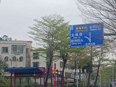 -长洲岛