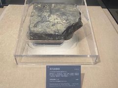 -亳州博物馆