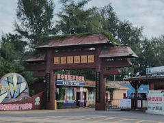 -北海金海湾红树林生态旅游区