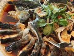 -京北渔家傲