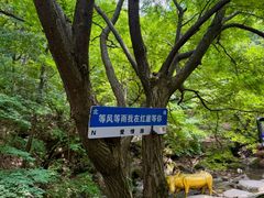 -红崖峡谷景区