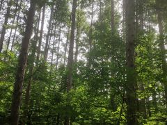 -三块石国家森林公园