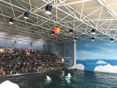 -秦皇岛乐岛海洋王国