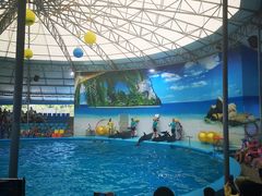 -尼莫海豚馆