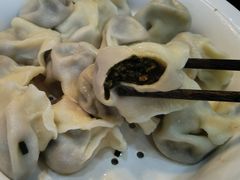 牛肉茴香-清真伊源饺子馆(陶然共友大厦店)
