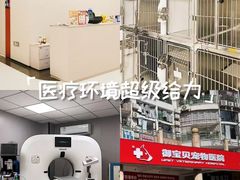 -御宝贝24h宠物医院·转诊中心·CT核磁血透中心(厦门总院)