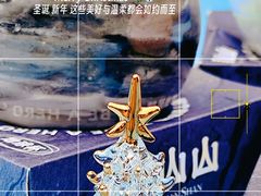 -吴山山·椰子酸奶(天河南店)