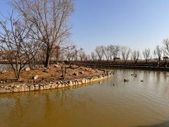 -盐城丹顶鹤湿地生态旅游区