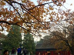 -香山公园-东宫门售票处