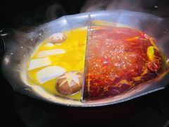 红颜花胶鸡锅-湊湊火锅·茶憩(石家庄万象城店)