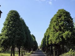 -苏州太湖国家湿地公园