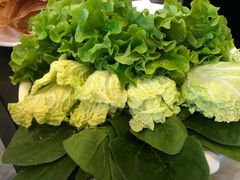 -食潮汕头鲜牛馆(望京保利店)