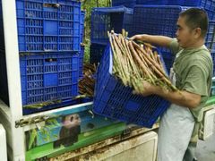 -成都大熊猫繁育研究基地-熊猫厨房