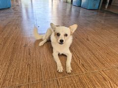 -小六农家乐(崇明西沙湿地店)