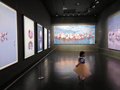 -罗红摄影艺术馆