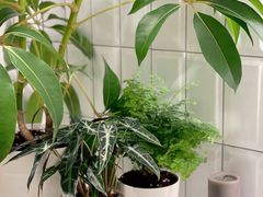 -一尺花园(安和花园店)