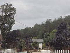 -溪口-滕头旅游景区