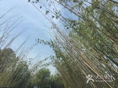 -云幽谷旅游区