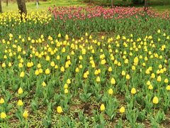 -长春公园(普阳街道)