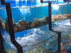 水产区-老东镇啤酒屋海鲜加工·蒸汽海鲜·海鲜烧烤(台东店)