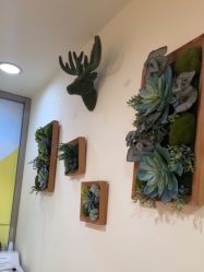 -丽时 Hair Salon
