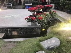 -二荆条·蜀鲜汇城市森林火锅