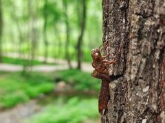 -玉渡山自然风景区