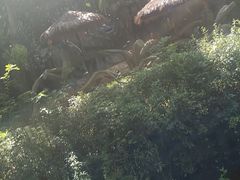 -宁波野生动物园