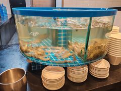 -汉来海港·海鲜自助餐厅(上海七宝领展广场店)