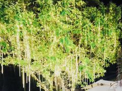 芒果慕斯-云里小坐·小院里·团建·宴请·下午茶(三圣乡店)