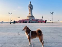 -天津妈祖文化园