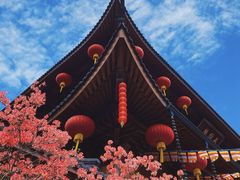 -杭州上天竺法喜讲寺