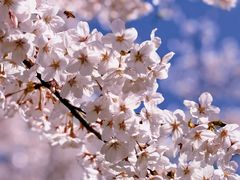 -龙美术馆(西岸馆)