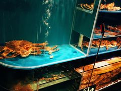 水产区-蟹田居·活蟹料理(东城店)