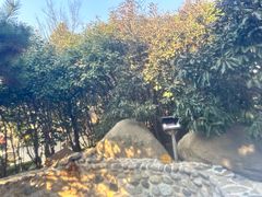 -观唐（国际）度假村温泉