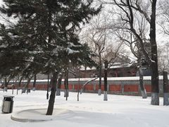 -哈尔滨文化公园