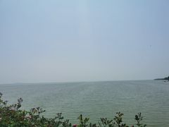 -贡湖湾湿地公园