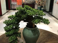 -丰收日(五角场店)