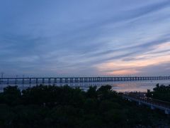 -宝安西湾红树林湿地公园